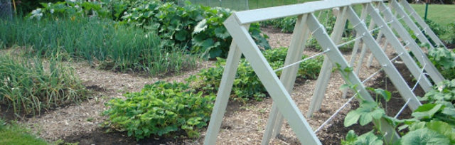 Buy Tickets For Backyard Gardening Workshop 4 29 At Webex Wed