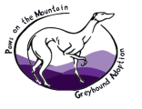 paws on the mountain greyhound adoption