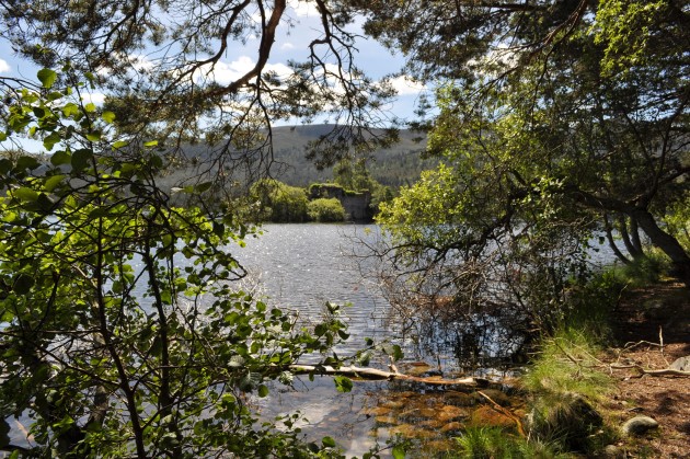 event_description_image_63133_1553741651_a1890.jpeg