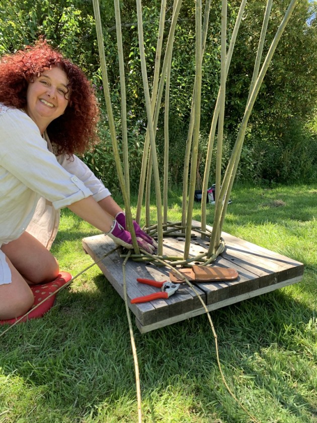 Buy Tickets Plant Support BWAS Birtley Woodland Art Space, Birtley Estate