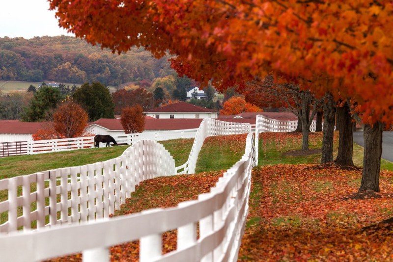 Buy Tickets for 2019 MHC Annual BBQ at Sagamore Farm, Sat 28 September 2019