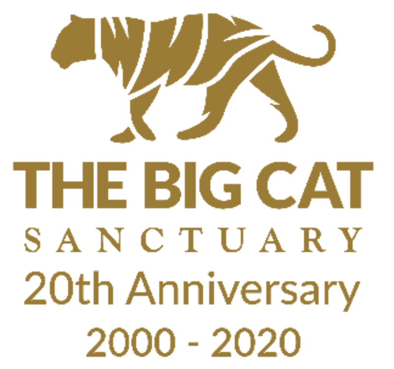 the big cat sanctuary prices